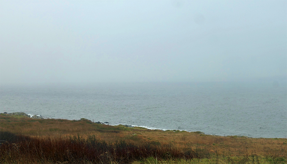 Picture of a damp and misty day at a sea loch