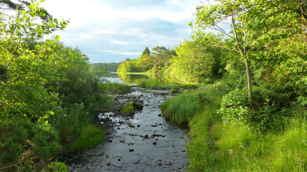 Picture of a small loch surrounded by lush green in some mild June morning light
