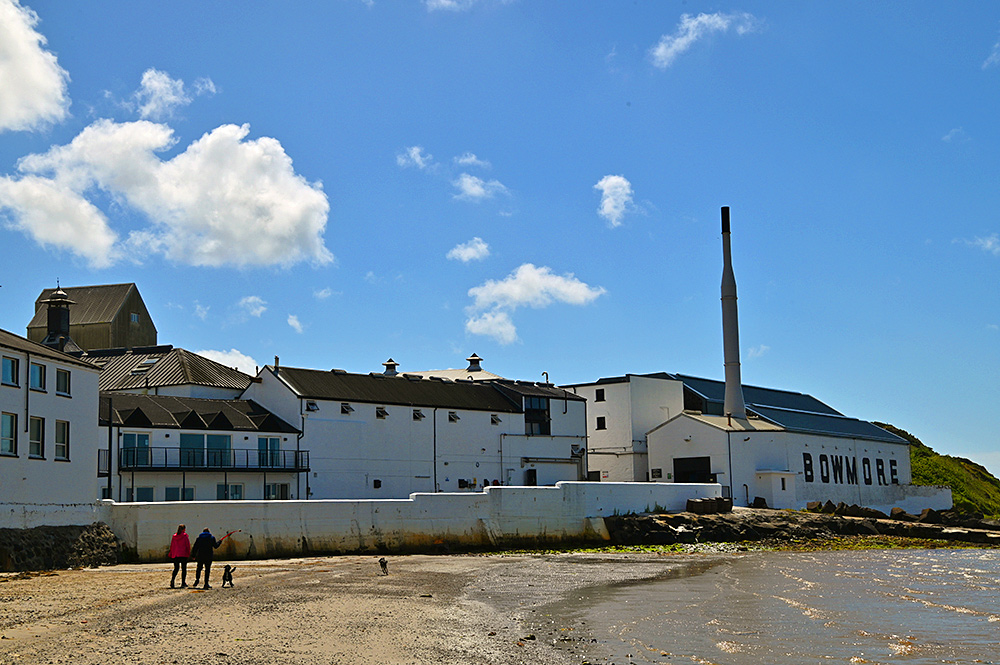 Picture of a couple walking their two dogs on the beach below Bowmore distillery on a bright sunny day